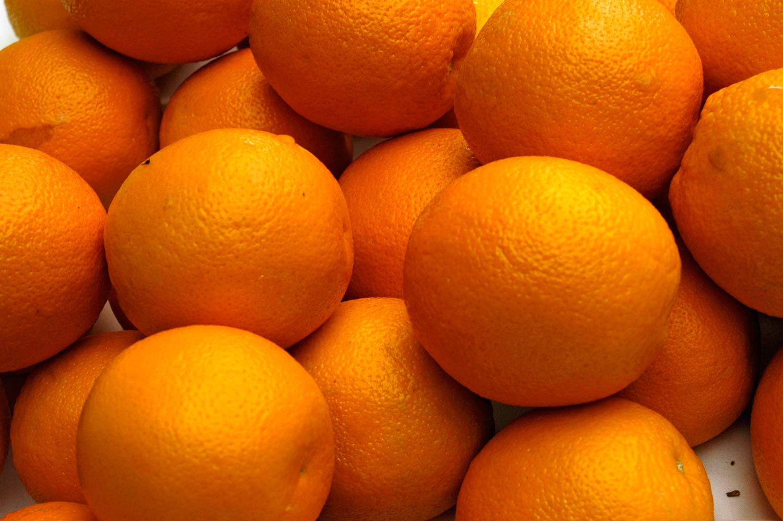 Naranja Navel: 44, 48, 56, 64, 72, 80, 88, 100, 105, 113, 125 Naranja Valencia: 48, 56, 64, 72, 80, 88, 100, 105, 113, 125 Naranja Baladi: 56 , 64, 72, 80, 88