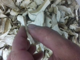 Wistawim Fakture vat .grzyby tejrecne Mashroom boletus 1 especie
