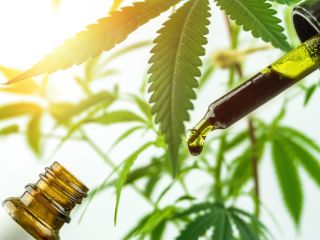 Lo invitamos a cooperar en el suministro de materia