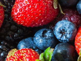 Somos proveedores mayoristas de berries y nuestra empresa tiene