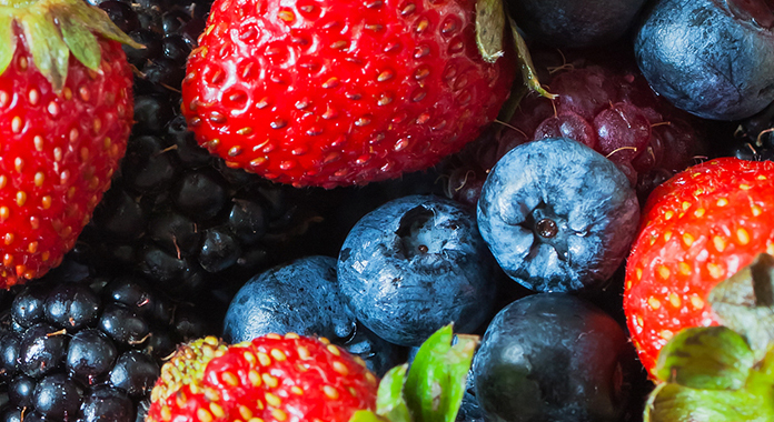 Somos proveedores mayoristas de berries y nuestra empresa tiene un rendimiento y una calidad de producto excepcionales