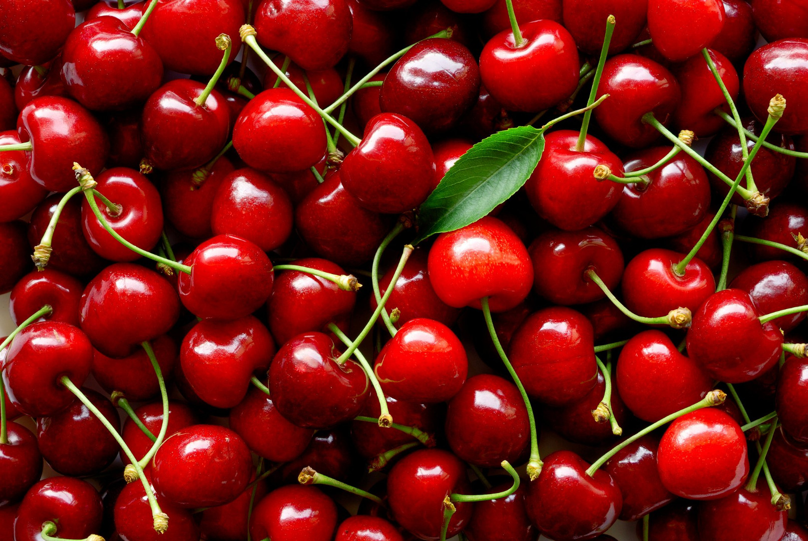 Somos proveedores mayoristas de cerezas y nuestra empresa tiene un desempeño y calidad de producto sobresalientes