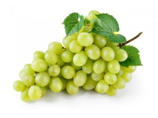 Somos proveedores mayoristas de uvas y nuestra empresa tiene