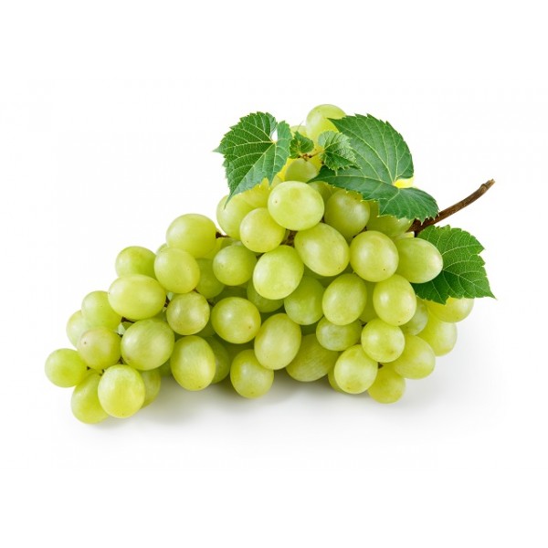 Somos proveedores mayoristas de uvas y nuestra empresa tiene un desempeño y calidad de producto sobresalientes