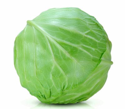 Somos proveedores mayoristas de repollo y vegetales frescos y nuestra empresa tiene un desempeño y calidad de producto sobresalientes