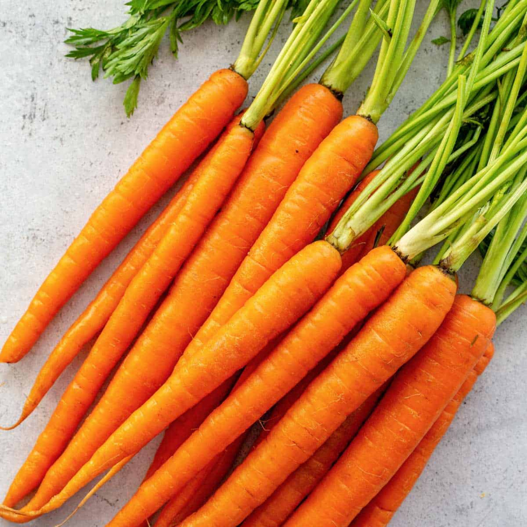 Somos proveedores mayoristas de vegetales frescos y zanahorias y nuestra empresa tiene un desempeño y calidad de producto sobresalientes