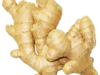 Somos proveedores mayoristas de vegetales frescos y jengibre y