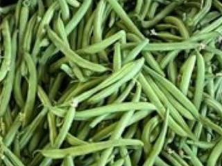 Venta de judías verdes
