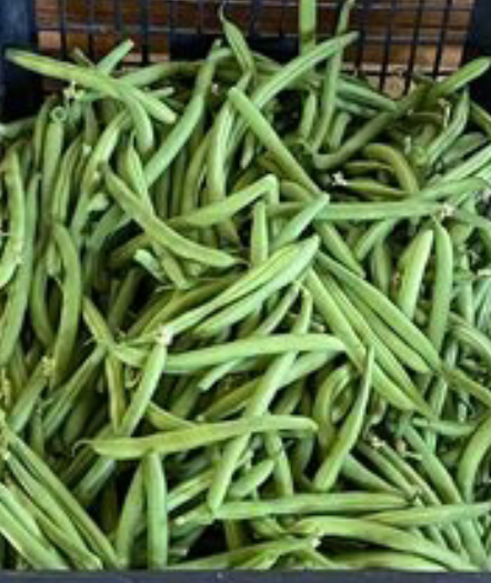 Venta de judías verdes