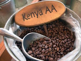Granos de café ROBUSTA Precio: $ 12.58 / Kilogramo