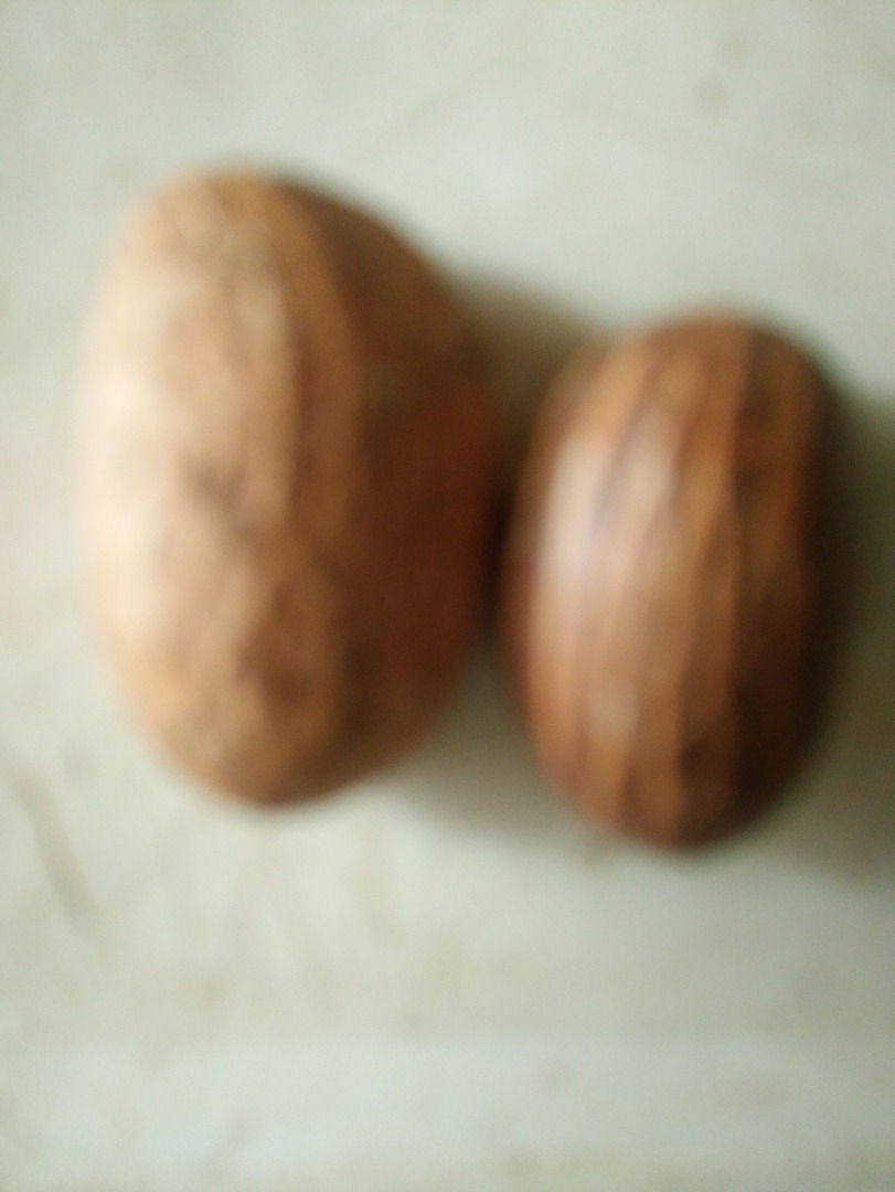 Bitter Kola, también conocida como Garcinia Kola, generalmente es buena para la salud, mejora el sistema inmunológico, mejora la función de los pulmones