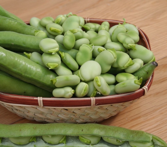 Venta de habas