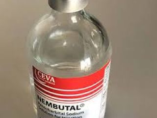 Compre pastillas de pentobarbital nembutal de calidad, líquido, en