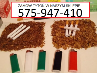 Tobacco Shop Ofrece el mejor tabaco para cigarrillos barato