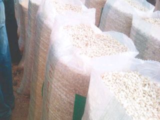 Bolsa de 100 kg de granos de maíz 270