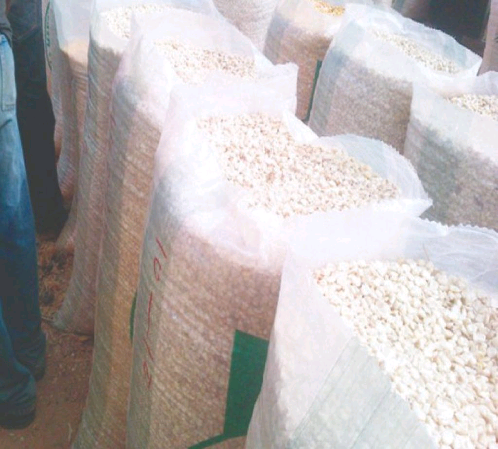 Bolsa de 100 kg de granos de maíz 270 bolsas disponibles, es decir, un total de 27000 kg de granos disponibles