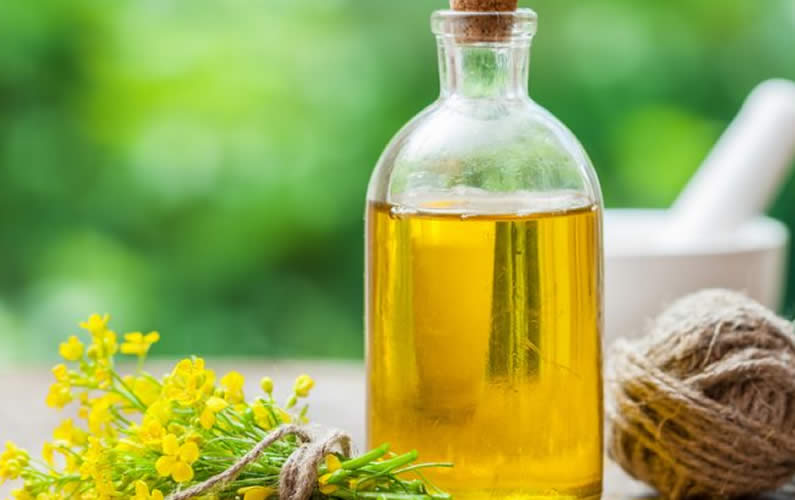 Canola refinada en aceite de colza Suministramos aceite de canola / aceite de colza 100% puro y refinado con variedades; Aceite de girasol refinado, aceite de