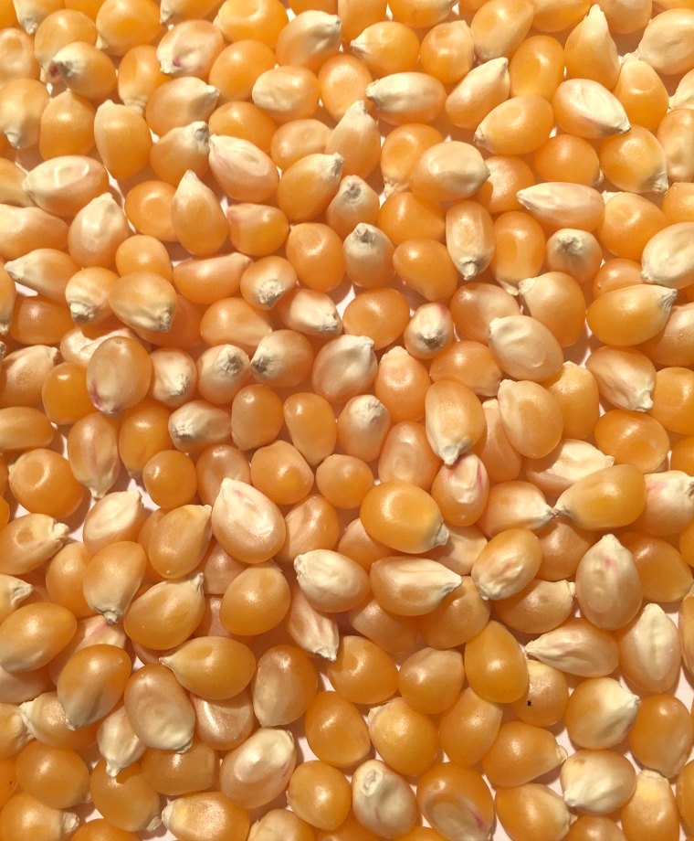 MAÍZ AMARILLO Maíz / Maíz Nombre del producto Maíz amarillo Pureza 98% mín