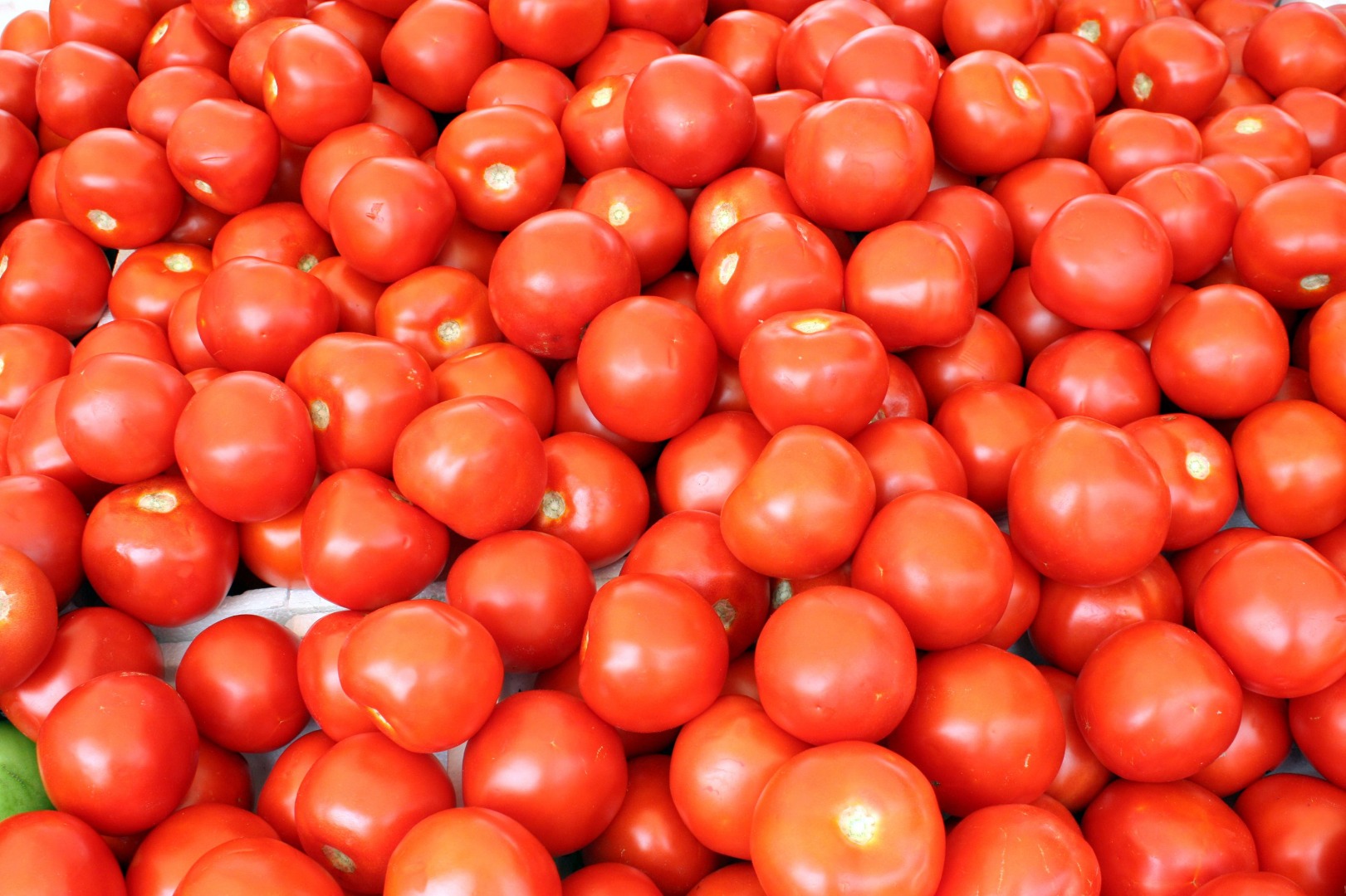 TOMATES FRESCOS Especificaciones Sin grietas, sin picaduras de insectos, maduros, modestos, dulces y agrios, color rojo fresco, sin anomalías Producto Tipo