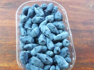 a la venta frutas de la variedad de bayas