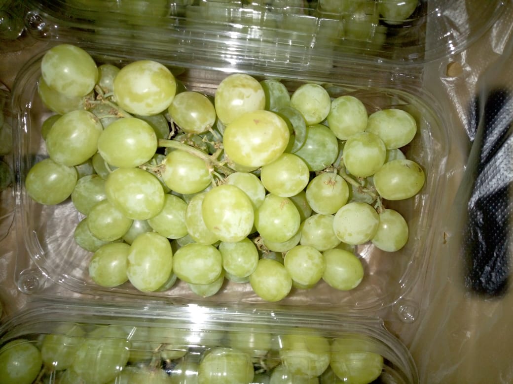 Uvas frescas superior, escarlata, bola roja - Embalaje: 4,5 kg de peso neto de la caja, 10 bolsas de plástico por caja, cada bolsa de plástico con un peso