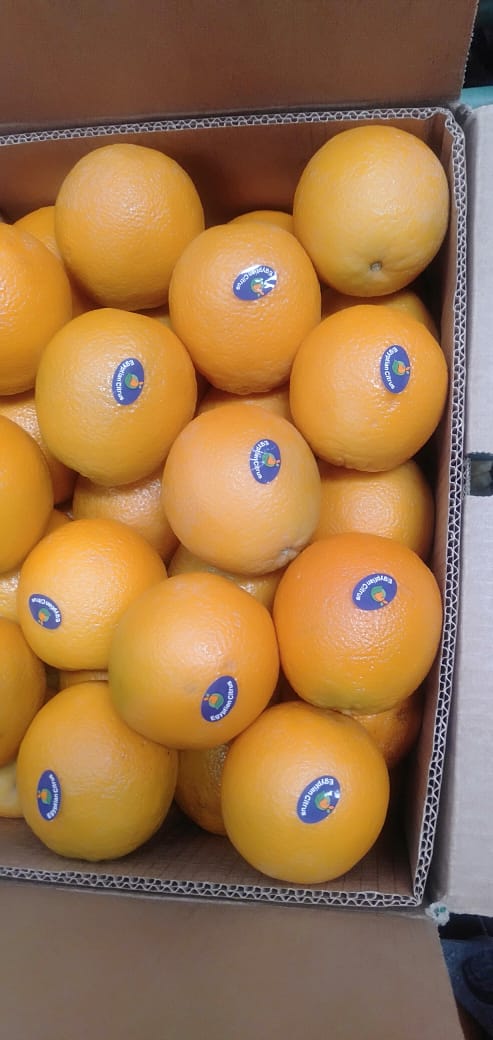 Hola, ENTREGA REGULAR CADA SEMANA, solo para este mes (hasta fin de cosecha) vendo en camiones y palets naranja VALENCIA, clase A., rigin EGIPTO, caja plastico