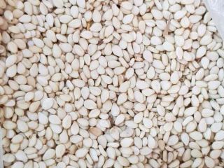 Semillas de sésamo blanco sudanesas, primera clasificación