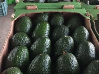 tenemos productos frescos y para más detalles, contáctenos directamente