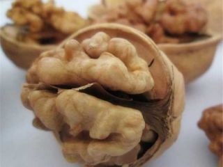 tenemos productos de nueces procesadas frescas tanto en cáscara