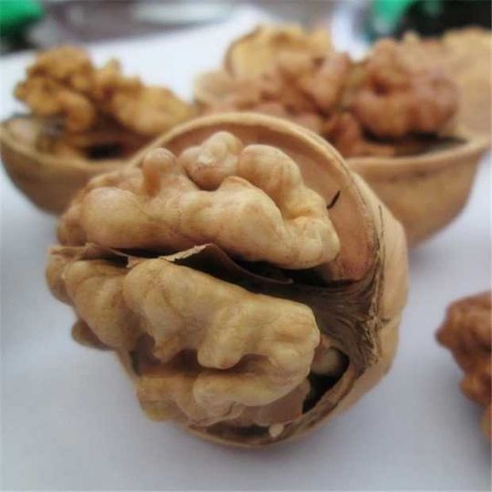 tenemos productos de nueces procesadas frescas tanto en cáscara como sin cáscara y para más detalles, por favor contáctenos directamente para que podamos