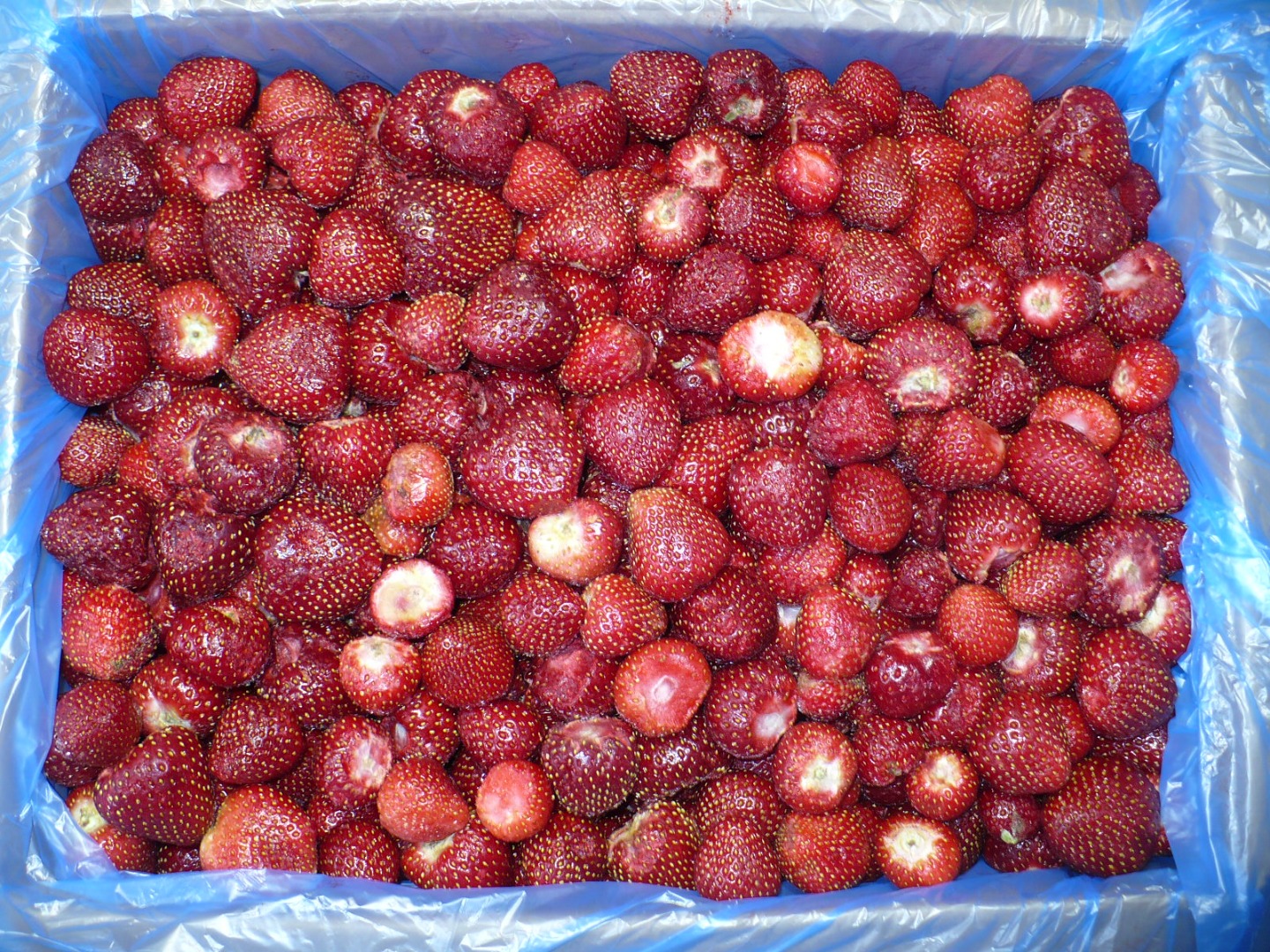 Venderé fresas congeladas