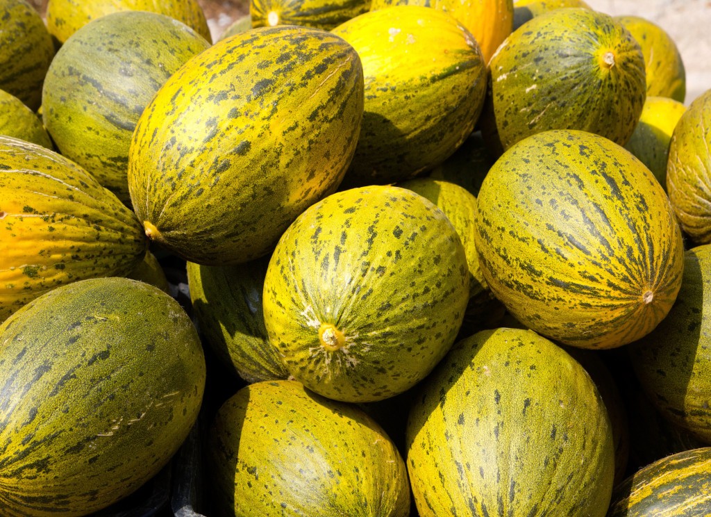Laverida vende frutas tropicales a granel