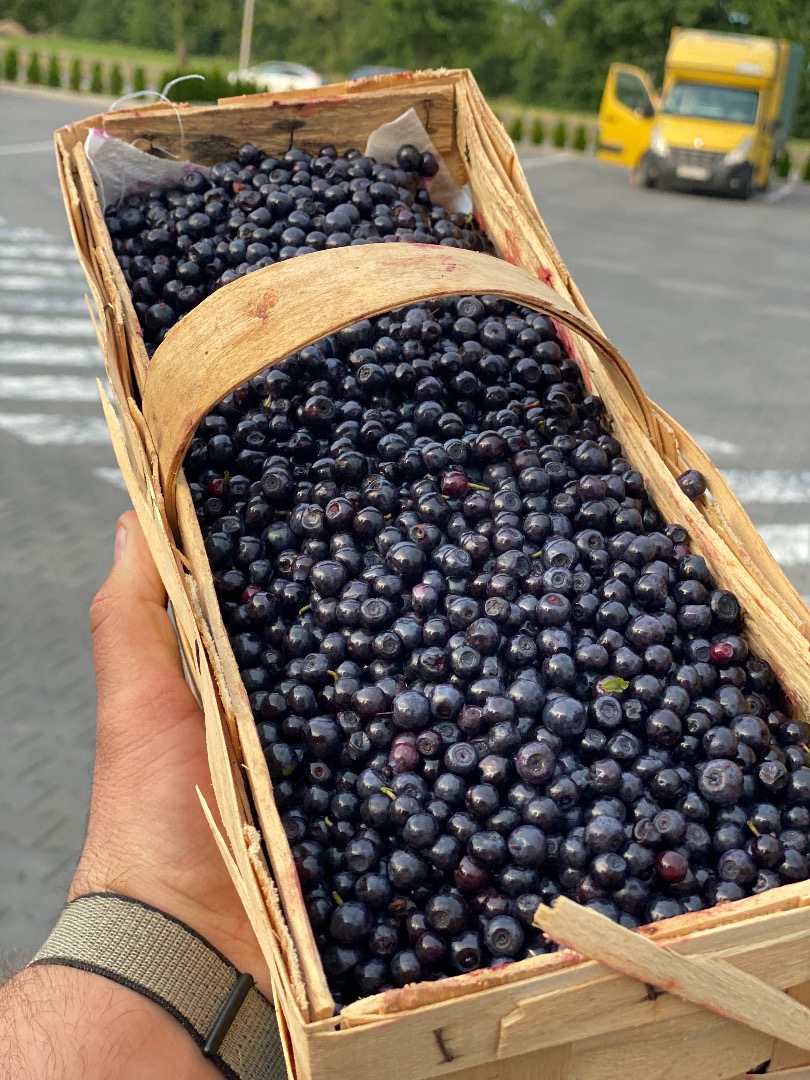 Compro 500-1000 cestas de arándanos todos los días