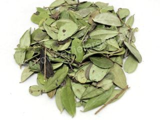 Venderé una hoja de arándano rojo (Vitis idaea folium),