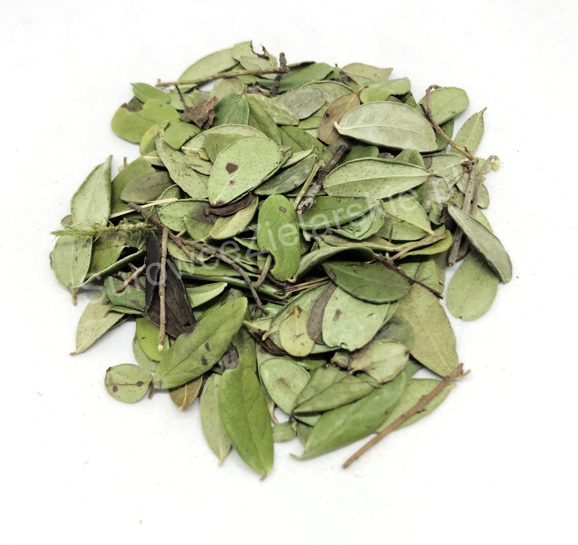 Venderé una hoja de arándano rojo (Vitis idaea folium), grandes cantidades de un almacén en Lublin