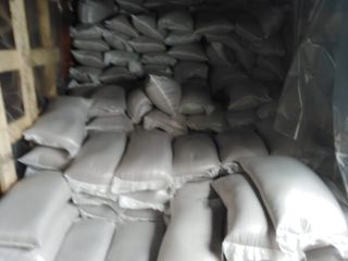 Semillas de colza de grano de colza orgánica no