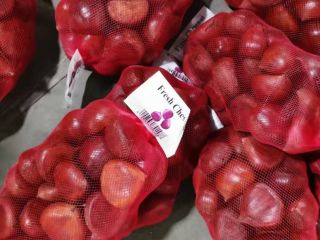 Precio de excelencia Exportación Venta al por mayor natural