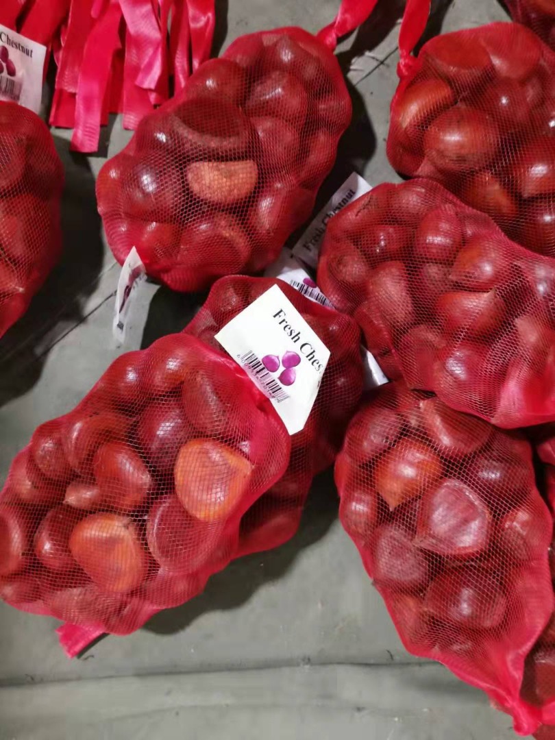 Precio de excelencia Exportación Venta al por mayor natural Barato sin pelar Castaño dulce fresco