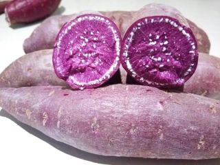 PATATAS DULCES FRESCAS proporcionamos frutas y verduras frescas, especias,