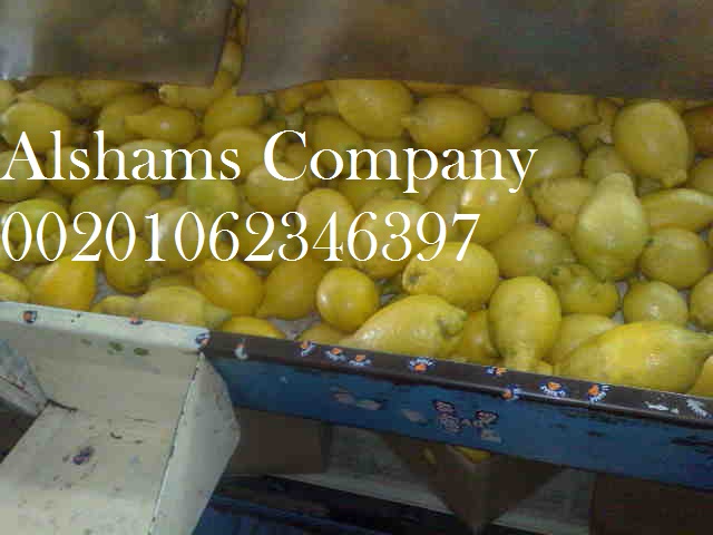 Somos ALshams para importación y exportación en general