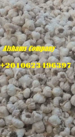 Somos ALshams para importación y exportación en general