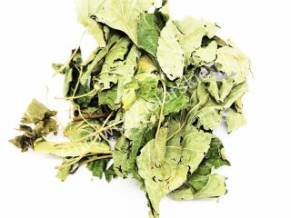 Venderé una gran cantidad de hojas de avellana (Corylus