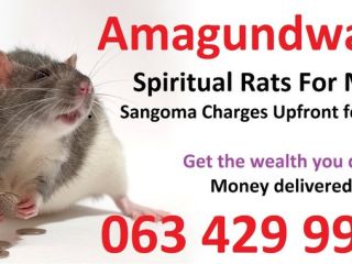 Poderosos hechizos de dinero de Amagundwane en Sudáfrica /
