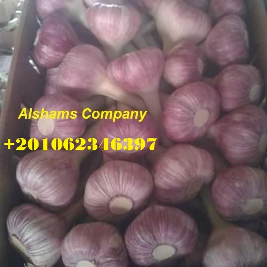 Somos ALshams para importación y exportación en general