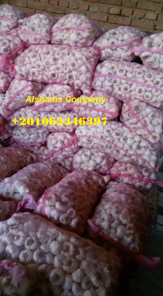 Somos ALshams para importación y exportación en general