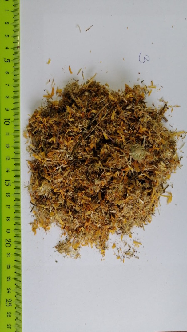 Hola, Vendo una hierba o flor Arnica chamissonis Arnica Montana Tone cantidades También tengo muchas otras hierbas