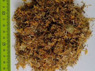Hola, Vendo hierba y flor Arnica chamissonis Arnica Montana