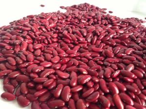 Frijoles rojos secos Frijoles rojos de alta calidad Frijoles negros de ojos negros 1