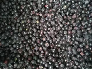 Venderé un camión lleno de bayas del bosque. Congelados