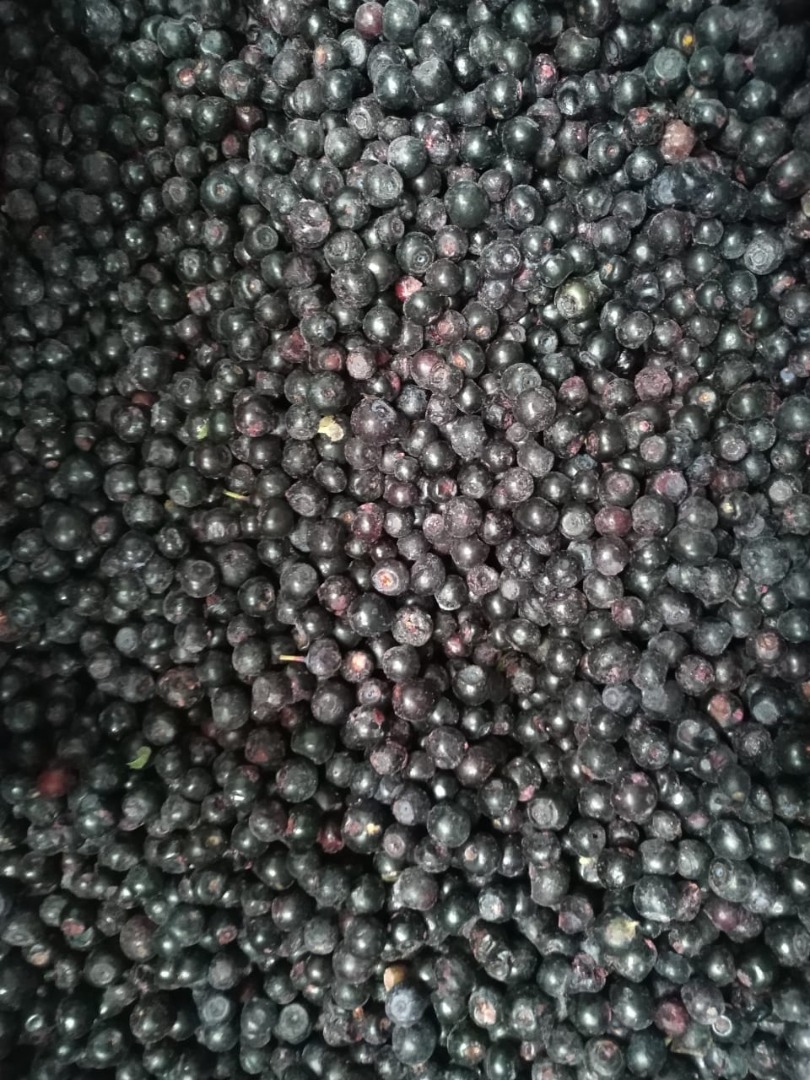 Venderé un camión lleno de bayas del bosque